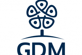GDM Internacional