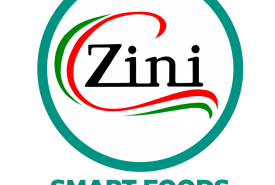 Zini