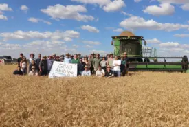 Giro Abitrigo aproxima moinhos do potencial do trigo produzido no Cerrado Mineiro